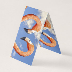 Caribische flamingo liefde hart kaart