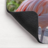 Caribische Flamingo Muismat (Hoek)
