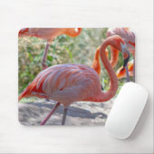 Caribische Flamingo Muismat (Met muis)