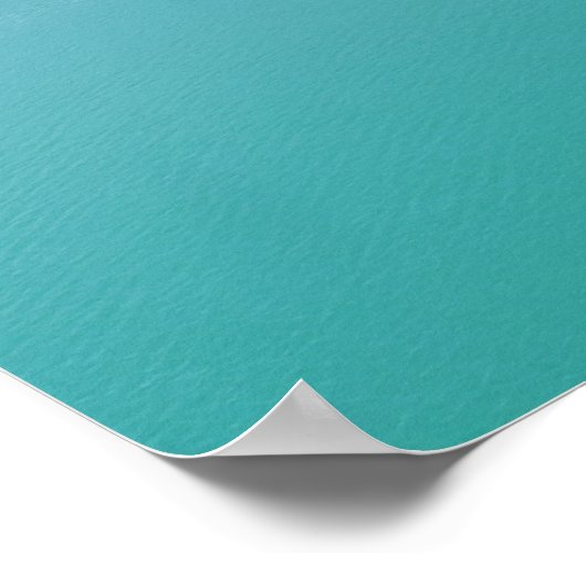 Caribische piraat poster (Hoek)