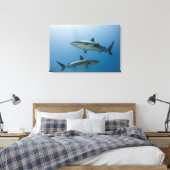 Caribische rifhaai canvas afdruk (Insitu (Slaapkamer))