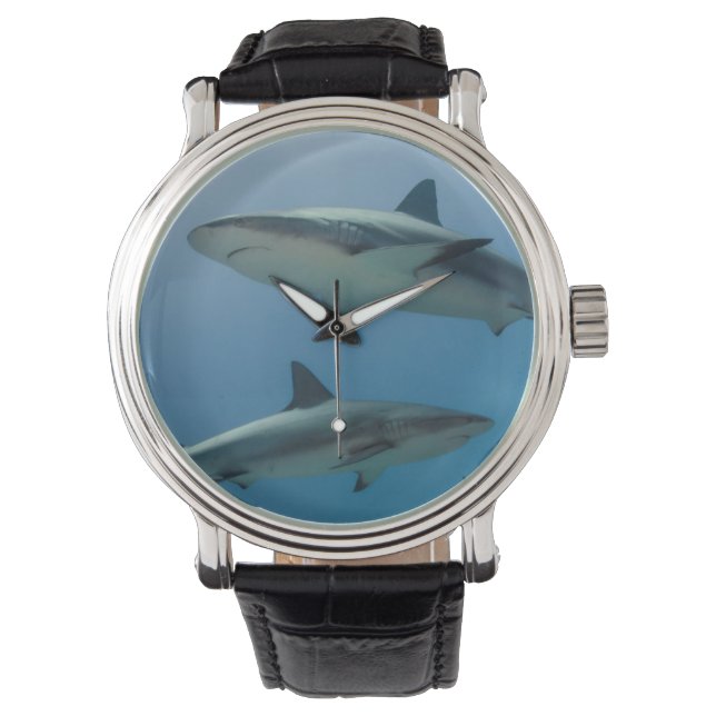 Caribische rifhaai horloge (Voorkant)