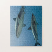 Caribische rifhaai legpuzzel (Verticaal)