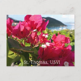 Caribische Roze Bougainvillea Eiland Leven Briefkaart
