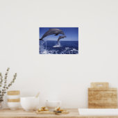 Caribische, tuimelaars poster (Keuken)