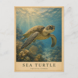Caribische Zeeschildpad VINTAGE Briefkaart