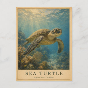 Caribische Zeeschildpad VINTAGE Briefkaart