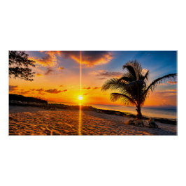Caribische Zonsondergang Palm Glanzende Poster