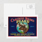 Cariboe par LabelCanada Briefkaart (Voorkant / Achterkant)