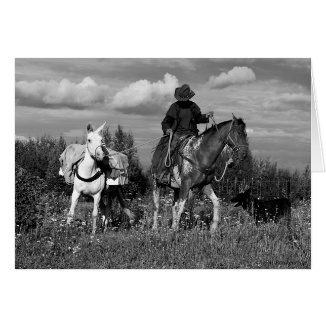 Cariboo Cowboy Horse en Mule Gifts (Voorkant Horizontaal)