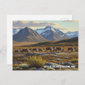 Caribou in de poorten van het Arctic National Park Briefkaart (Voorkant / Achterkant)