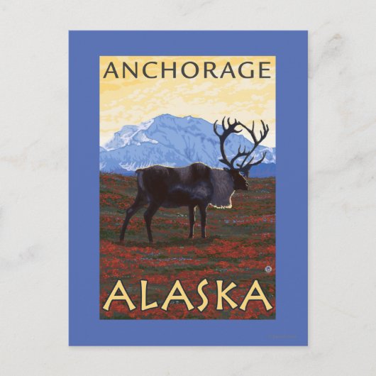 Caribou Scene - Anchorage, Alaska Briefkaart (Voorkant)