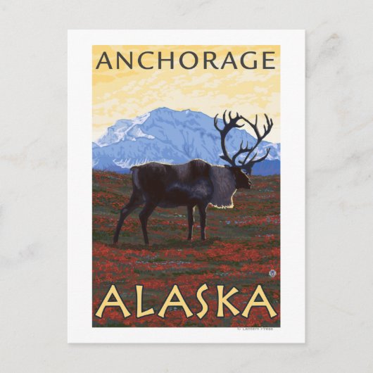 Caribou Scene - Anchorage, Alaska Briefkaart (Voorkant)
