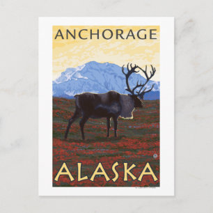 Caribou Scene - Anchorage, Alaska Briefkaart