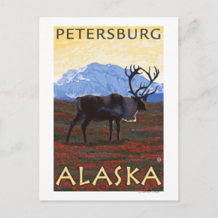 Caribou Scene - Petersburg, Alaska Briefkaart