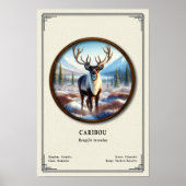 Caribou Zoologie Serie Poster (Voorkant)