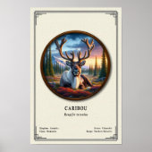 Caribou Zoology Series Poster (Voorkant)