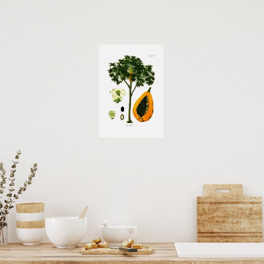 Carica papaya (Papaya) Poster (Keuken)