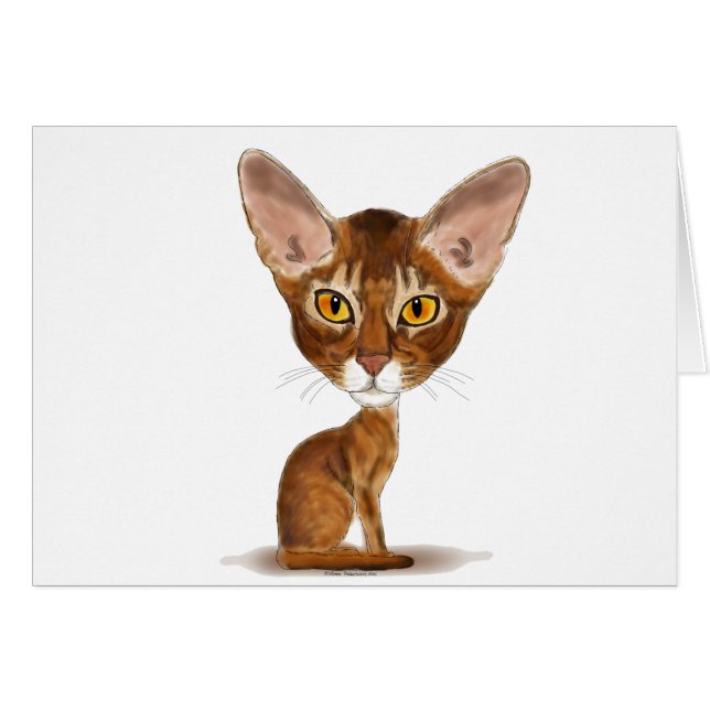 Caricature Abyssinian (Voorkant Horizontaal)