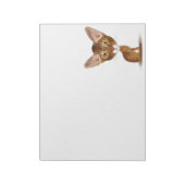 Caricature Abyssinian Notitieblok (Linkerzijde)