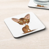Caricature Abyssinian Onderzetter (Linkerzijde)