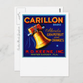 Carillon Florida Grapefruits Briefkaart (Voorkant / Achterkant)