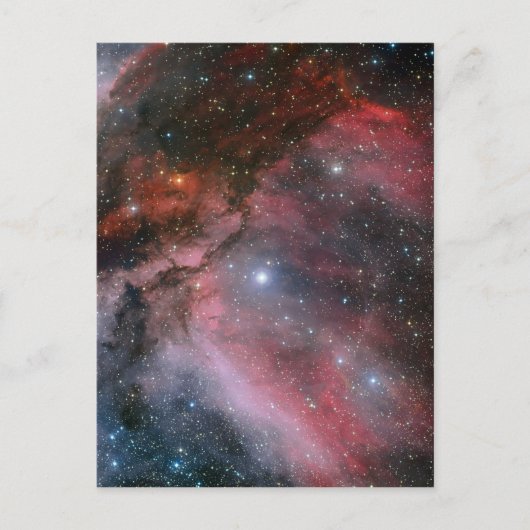 Carina Nebula rond de Wolf Rayet ster WR 22 Briefkaart (Voorkant)