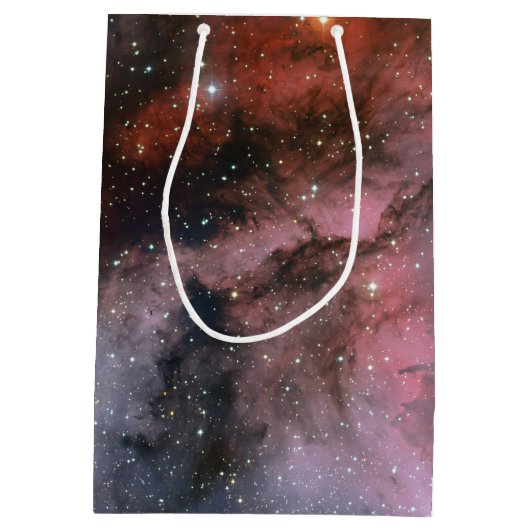 Carina Nebula, Wolf-Rayet ster WR 22 Medium Cadeauzakje (Achterkant)