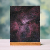 Carina-nevel Acryl Bord (Neutraal)