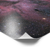 Carinanevel Foto Afdruk (Hoek)