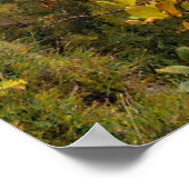 Carinthia, Oostenrijk Poster (Hoek)