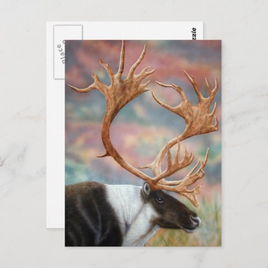 Cariou Briefkaart (Voorkant / Achterkant)