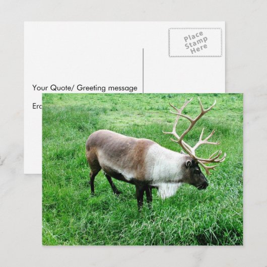 Cariou Briefkaart (Voorkant / Achterkant)