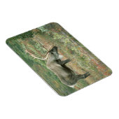 Cariou Buck Grazing Magnet Magneet (Rechterzijde)