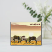 Cariou Duel - Alaska Briefkaart (Staand voorkant)