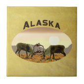 Cariou Duel - Alaska Tegeltje (Voorkant)