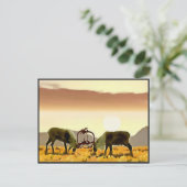 Cariou Duel Briefkaart (Staand voorkant)