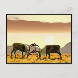 Cariou Duel Briefkaart