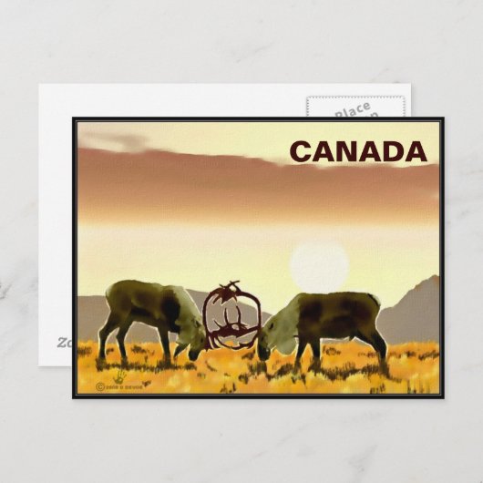 Cariou Duel - Canada Briefkaart (Voorkant / Achterkant)