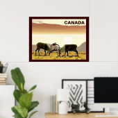 Cariou Duel - Canada Poster (Thuiskantoor)