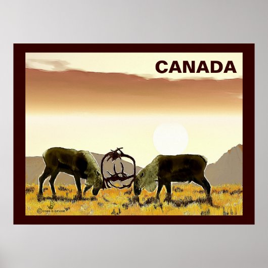 Cariou Duel - Canada Poster (Voorkant)