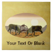 Cariou Duel Tegeltje (Voorkant)