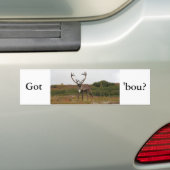Cariou in Denali Bumpersticker (Op auto)