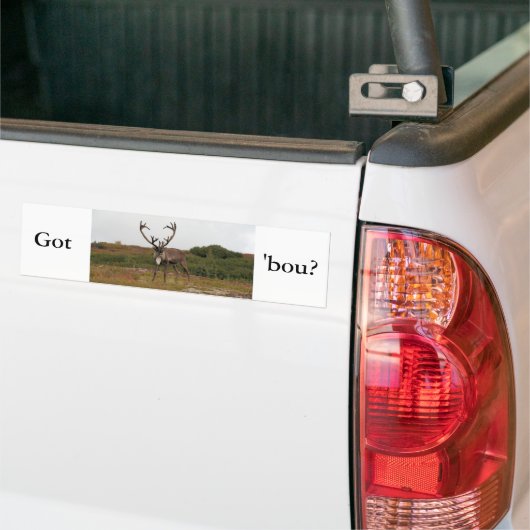 Cariou in Denali Bumpersticker (Op Truck)