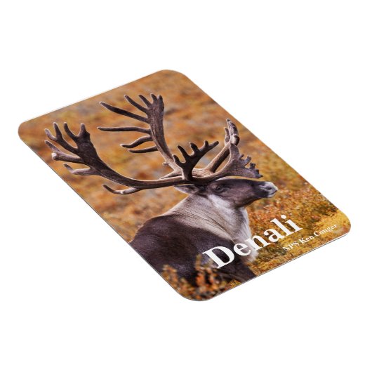 Cariou in Denali Magneet (Rechterzijde)