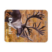 Cariou in Denali Magneet (Horizontaal)