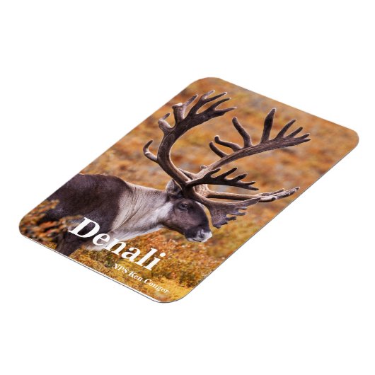 Cariou in Denali Magneet (Linkerzijde)