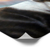 Cariou Poster (Hoek)