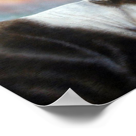 Cariou Poster (Hoek)