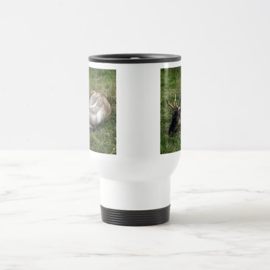 Cariou Reisbeker (Center)